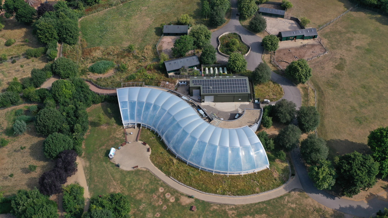 Marwell Solar Panels